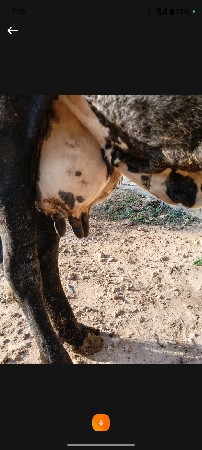 थंबनेल 2