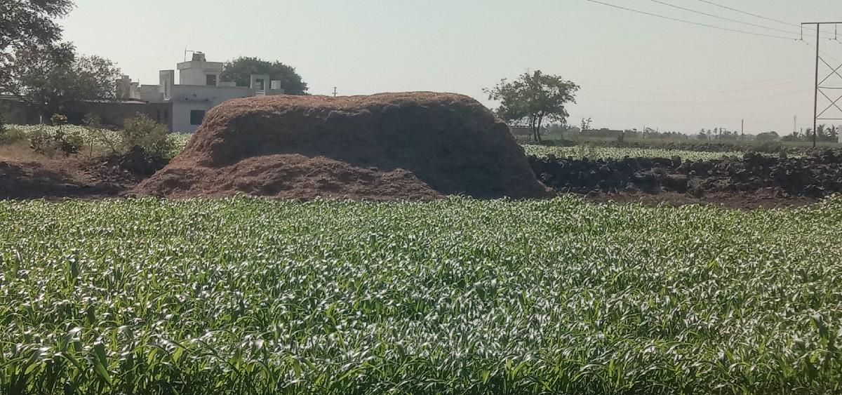 જી 20 માંડવી નો સારો