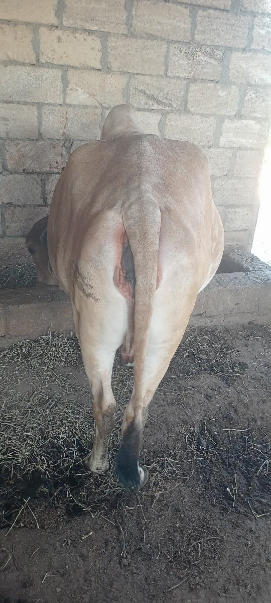 થંબનેલ 3