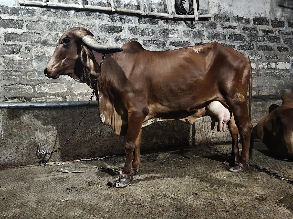 थंबनेल 2