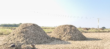 थंबनेल 3