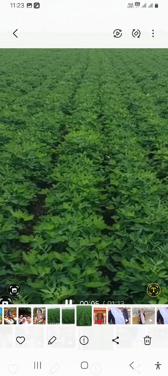 ખેતીલાયક.જમીન