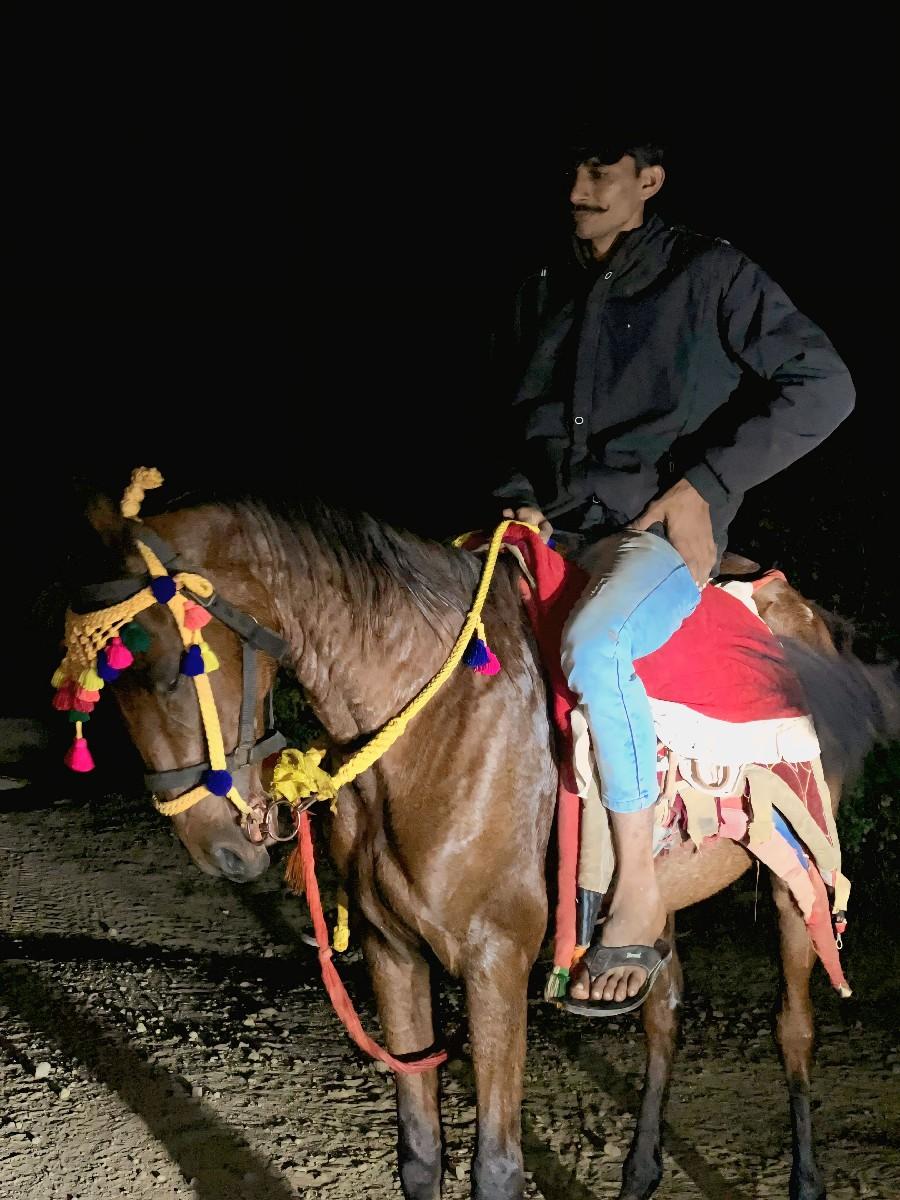 ઘોડી વેસવાનીછે