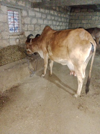 थंबनेल 2