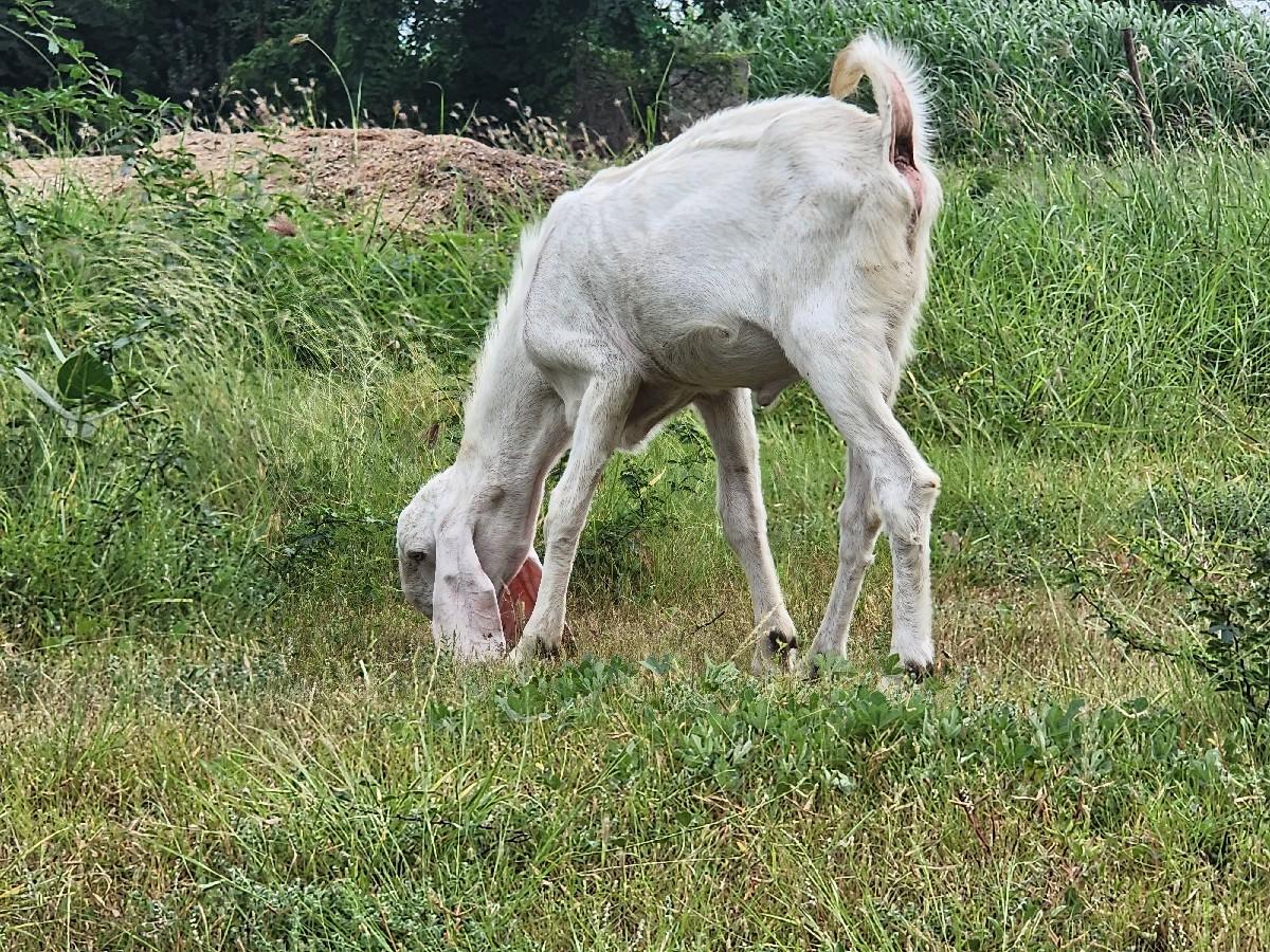 थंबनेल 2