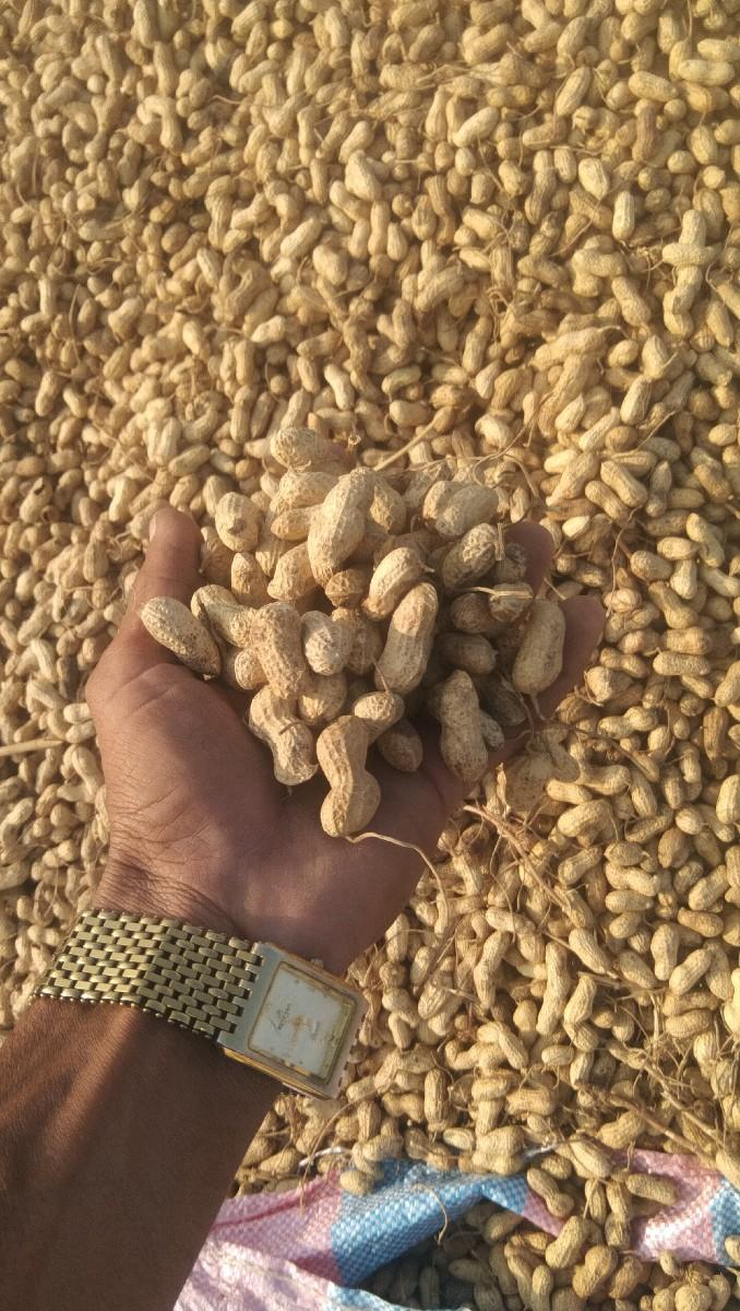 થંબનેલ 5