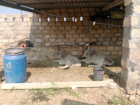 થંબનેલ 2