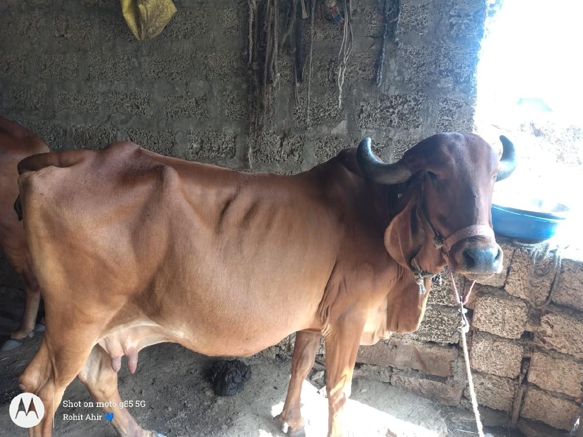 थंबनेल 2