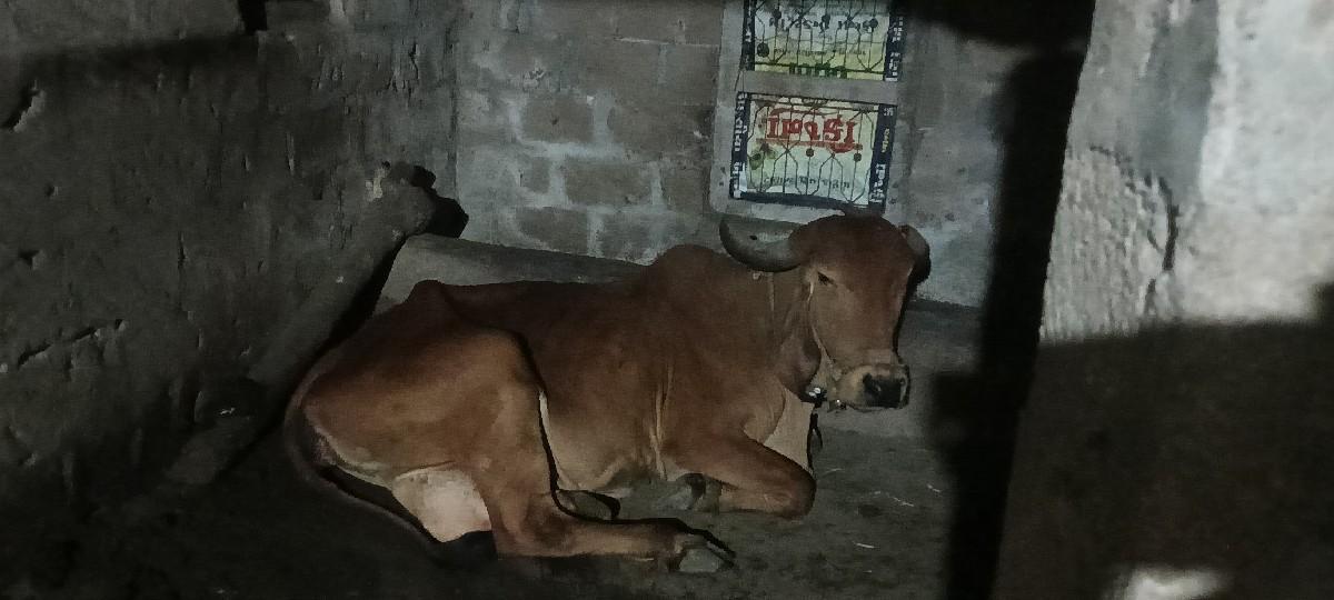 થંબનેલ 3