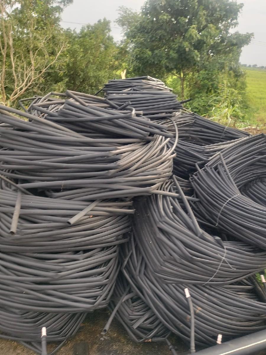 થંબનેલ 6