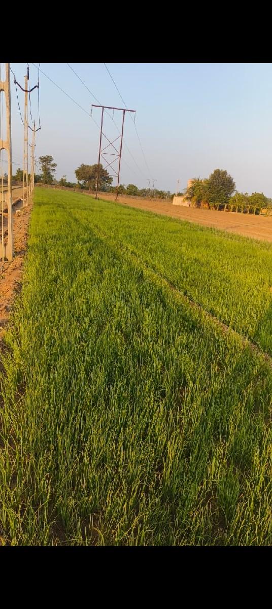 થંબનેલ 3