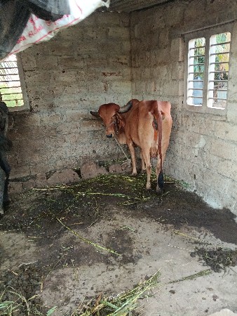 थंबनेल 2