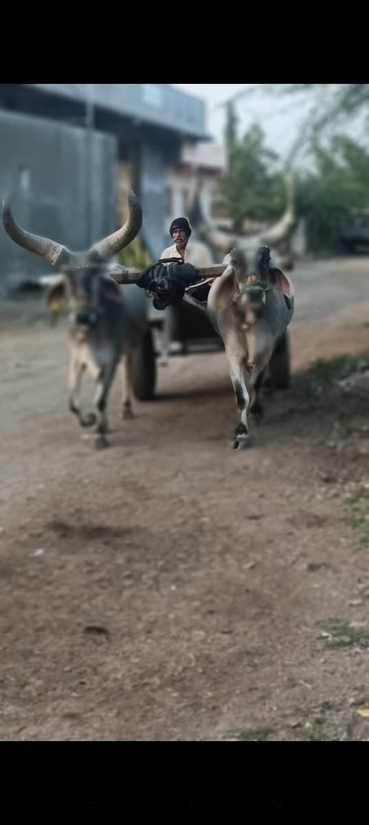 થંબનેલ 3