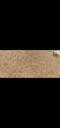 માંડવી નો ચારો વેચવા નો છે