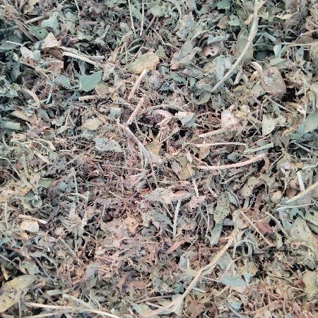 કોરો ભૂકો