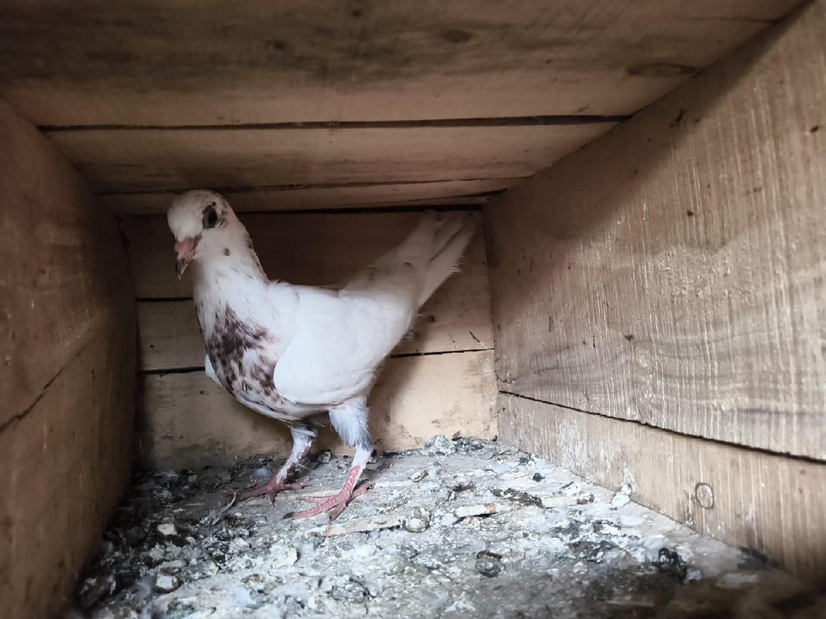 થંબનેલ 3