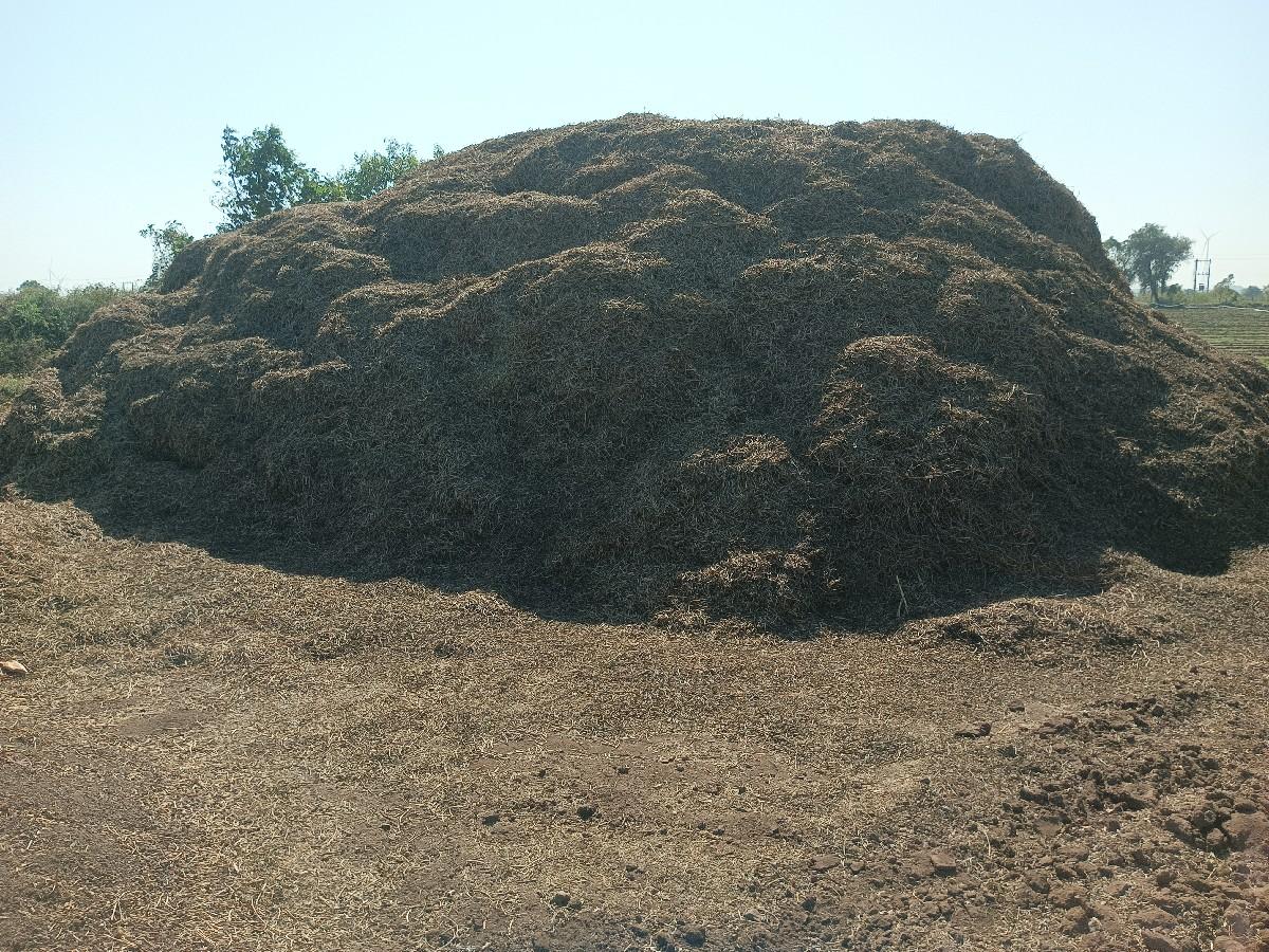 22 વિઘા ભૂકો વેચવાનો છે