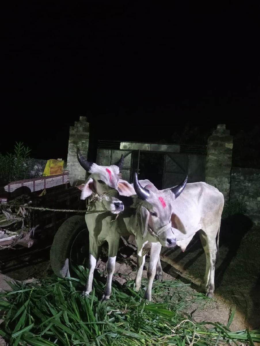 aa vadhiya vasda vesvana se