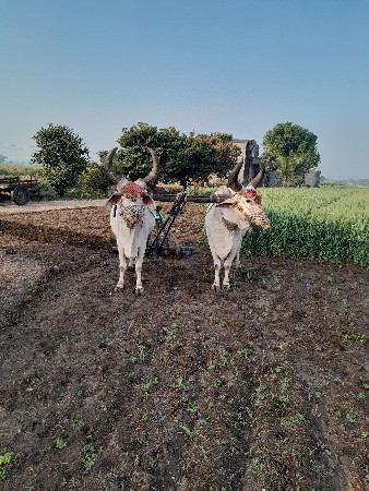 थंबनेल 2