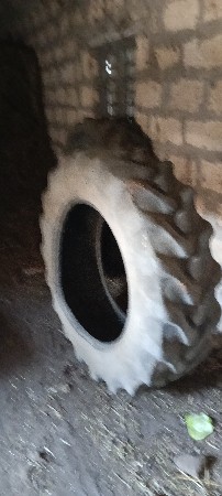 થંબનેલ 2