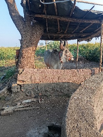 थंबनेल 2