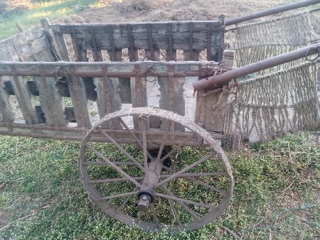 थंबनेल 3