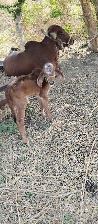 थंबनेल 2