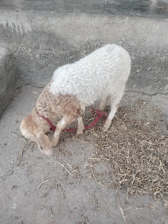 થંબનેલ 3