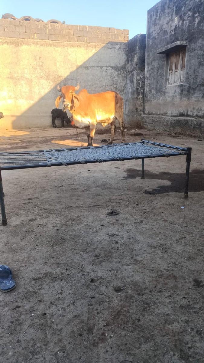 थंबनेल 2