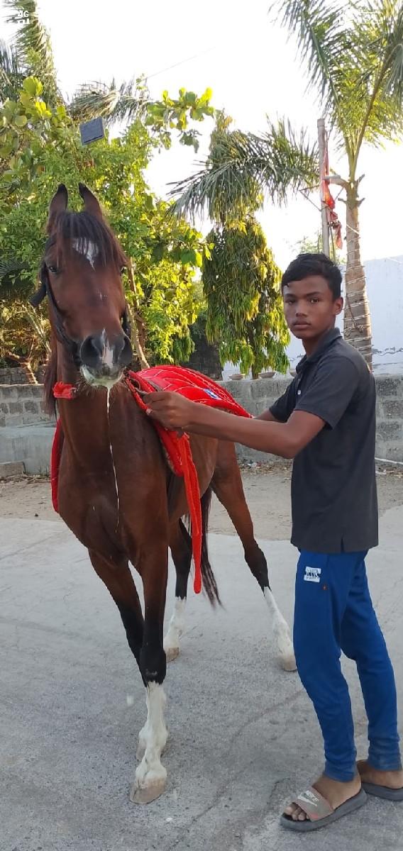 થંબનેલ 3