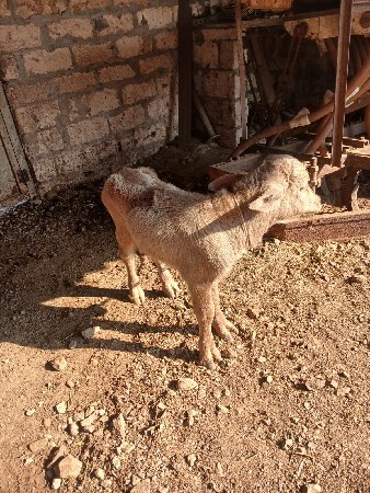 थंबनेल 3