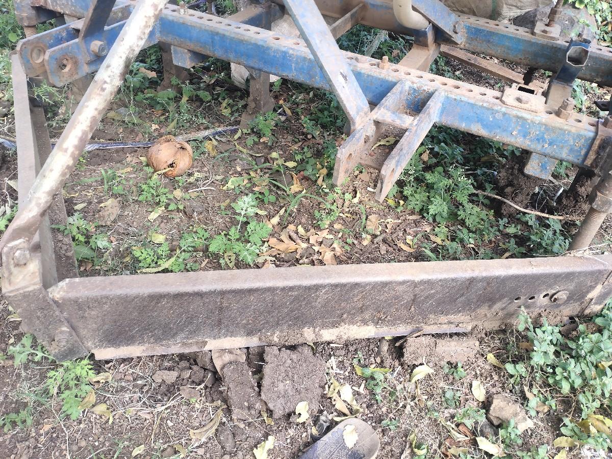 9 દાતા 7 પાટલી