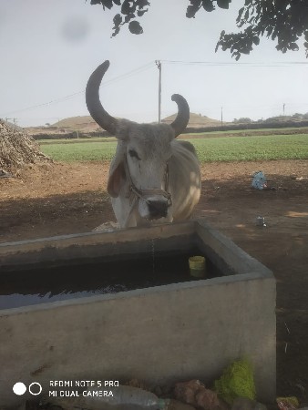 थंबनेल 2