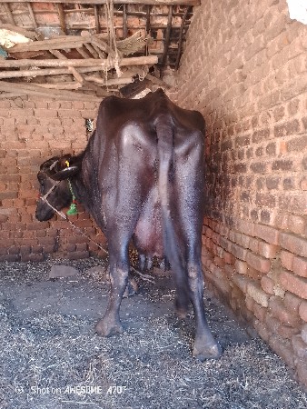 थंबनेल 2