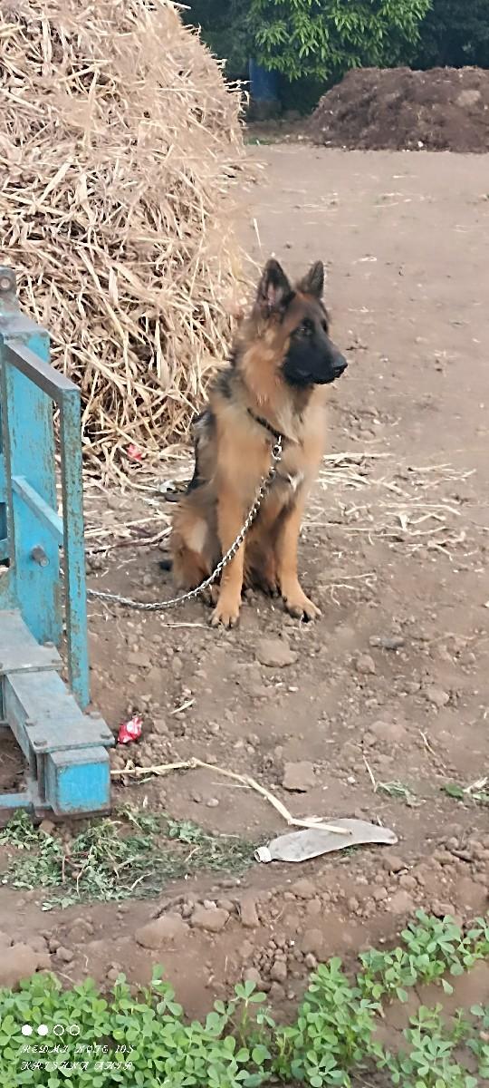 મિટિંગ માટે છે