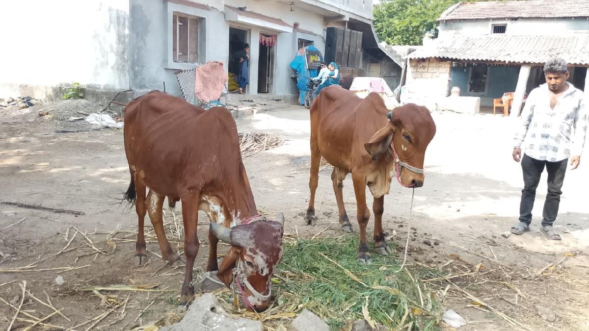 थंबनेल 3