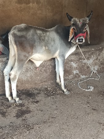 થંબનેલ 3