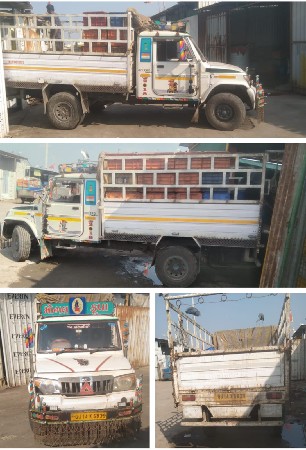 થંબનેલ 3