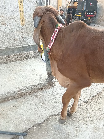 थंबनेल 2