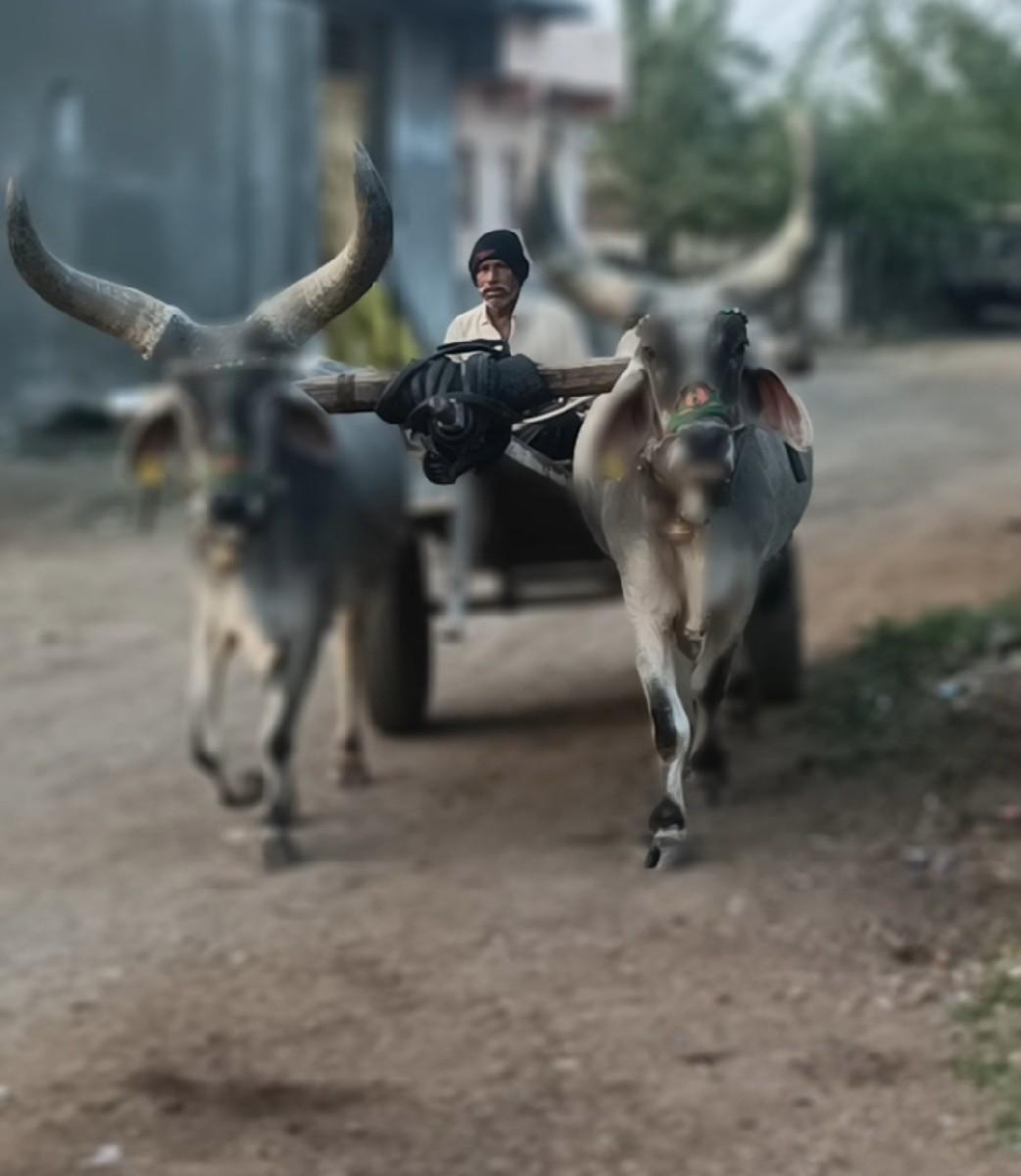 થંબનેલ 2