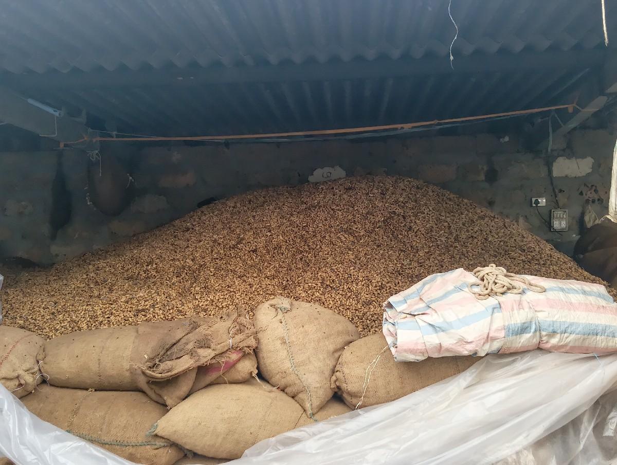 થંબનેલ 2