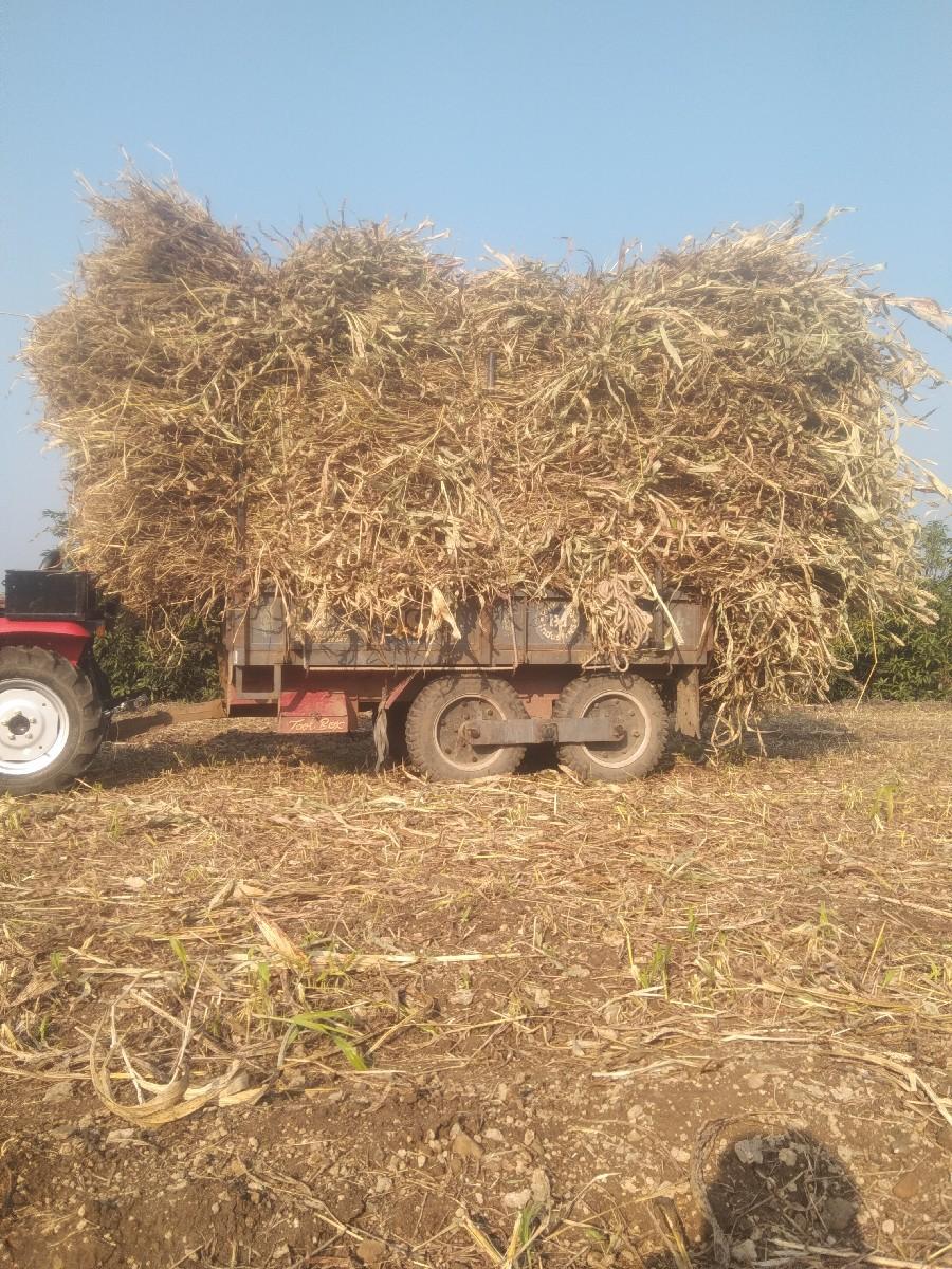 મીની ટોલી વેચવાની છે