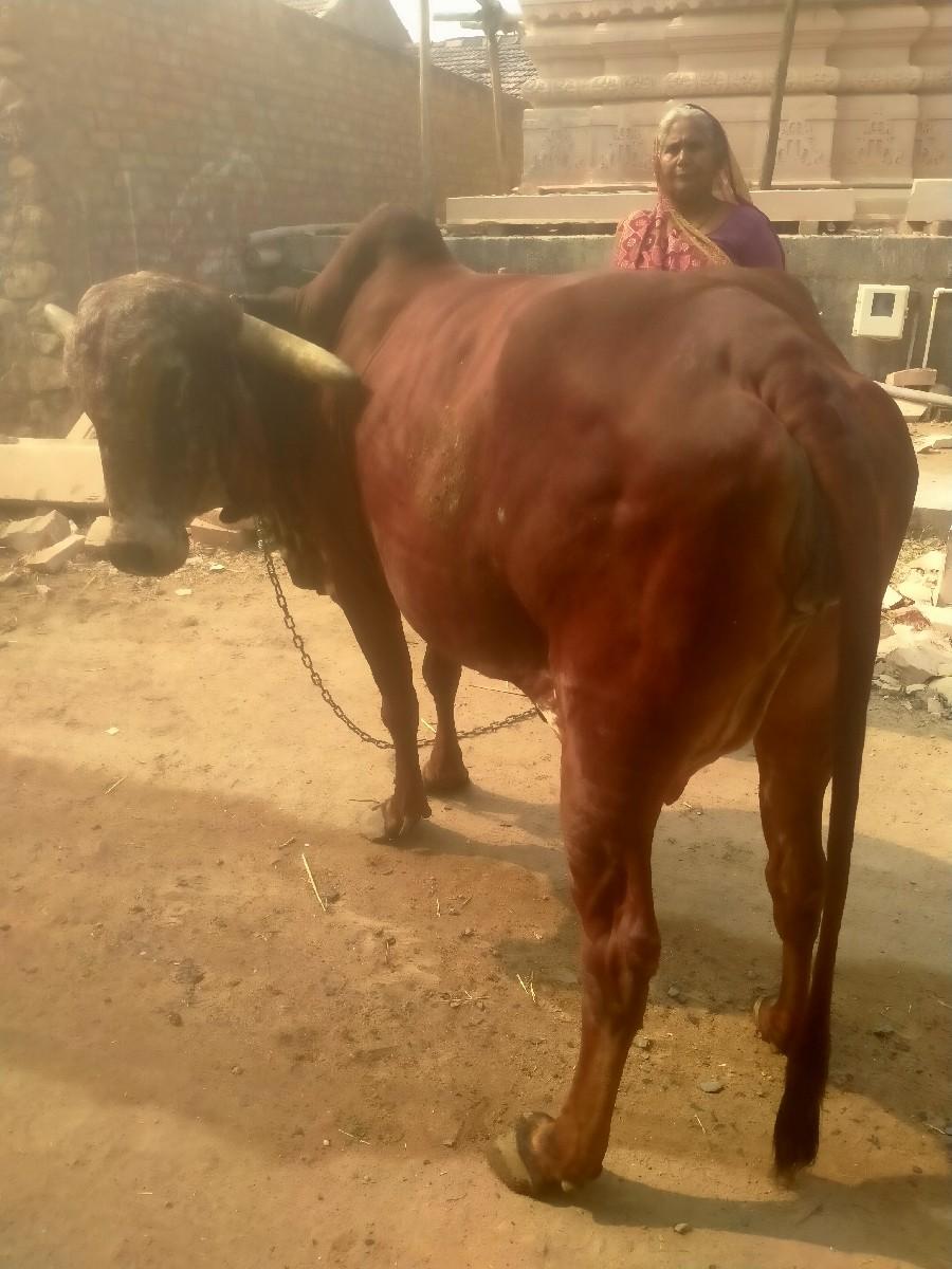 થંબનેલ 3