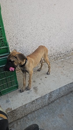 थंबनेल 2